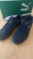 Puma Court Star Sneaker Nordrhein-Westfalen - Warburg Vorschau