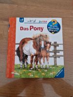 Wieso Weshalb Warum - Das Pony Bayern - Strullendorf Vorschau