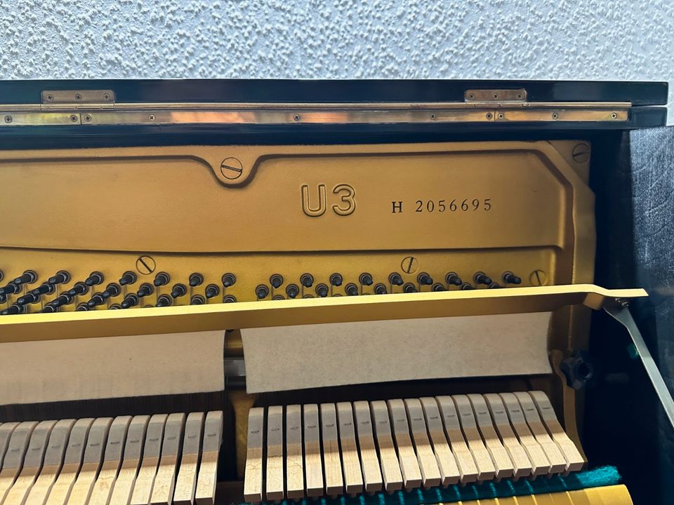 Yamaha Klavier / Piano U3 in Recklinghausen