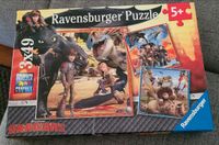 Puzzle Dragons Drachenzähmen 5+, 3x49 Teile Niedersachsen - Jelmstorf Vorschau