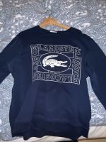 Lacoste Pullover Berlin - Schöneberg Vorschau