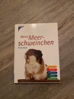 Mein Meerschweinchen Bayern - Erlangen Vorschau