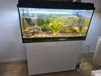 Juwel Aquarium 300 Liter mit Unterschrank Essen - Essen-Borbeck Vorschau