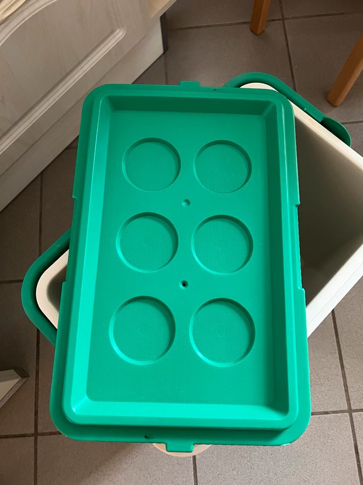 Kühlbox Tupperware in Rodewisch