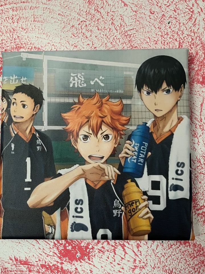 Haikyuu Leinwände in Neuhausen