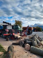 Brennholz Feuerholz Sägen Spalten Fällen Brennholzaufbereitung Niedersachsen - Bruchhausen-Vilsen Vorschau