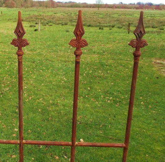 Rankgitter Zaunelement Fleur de Lis Rost NEU in Großefehn