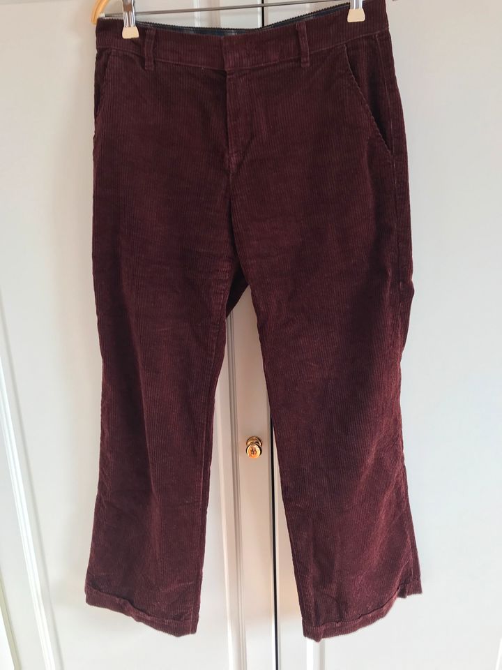 Cordhose Esprit Schlaghose Cord Gr. 38/30 in Uetersen