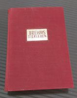 Schönes altes Buch "Brehms Tierleben" fester Einband Nordrhein-Westfalen - Hiddenhausen Vorschau