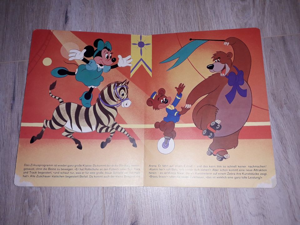 Micky Maus Hefte 1984 - 1991 und Kinderbuch in Reppenstedt