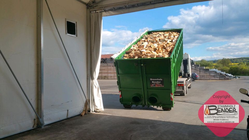 Preisknaller● halbtrockenes Esche Brennholz /wie Buche Kaminholz in Marburg