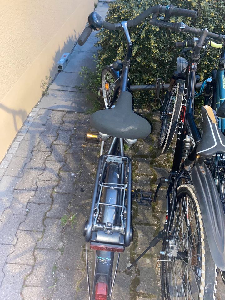 Fahrrad für erwachsene in Böblingen