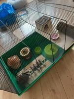 Hamsterkäfig mit Zubehör Nordrhein-Westfalen - Witten Vorschau