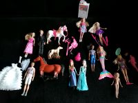 Barbie Puppen, Barbie Pferde, diverses Barbie Zubehör Rheinland-Pfalz - Herdorf Vorschau