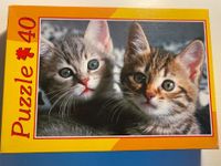 Babykatzen Puzzle Baden-Württemberg - Konstanz Vorschau