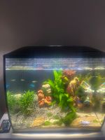 Fluval Flex Nano Aquarium Set 57l Nordrhein-Westfalen - Hilden Vorschau