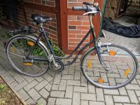 Fahrrad und Zubehör Huchting - Sodenmatt Vorschau