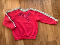 Super weicher Puma Pullover 80 pink NEU ohne Etikett Nürnberg (Mittelfr) - Nordstadt Vorschau