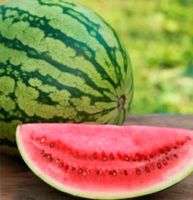 Saatgut Wassermelone melonensamen Sachsen-Anhalt - Magdeburg Vorschau