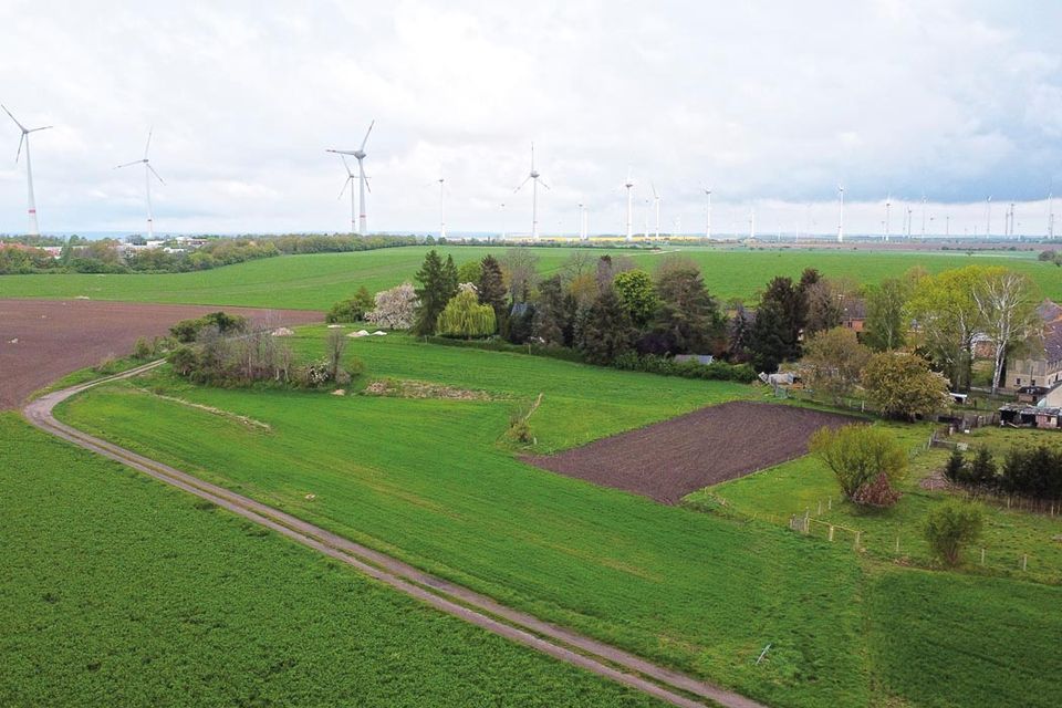 Zwei Landwirtschaftsflächen in Teuchern in Teuchern