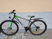 1 x KS Cycling Hardtail MTB 29" Xtinct (schwarz-grün, RH 46cm) Baden-Württemberg - Neuried Vorschau