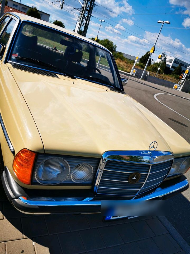 Mercedes Benz W123 230 in Dachau