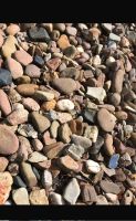 Steine aus einem Steinbeet Niedersachsen - Sottrum Vorschau