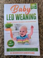 Baby Led Weaning, Breifreie Beikost für Babys und Kleinkinder Nordrhein-Westfalen - Sundern (Sauerland) Vorschau