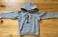 Sanetta Pullover Hoodie grau Motorad  128 Herzogtum Lauenburg - Ratzeburg Vorschau