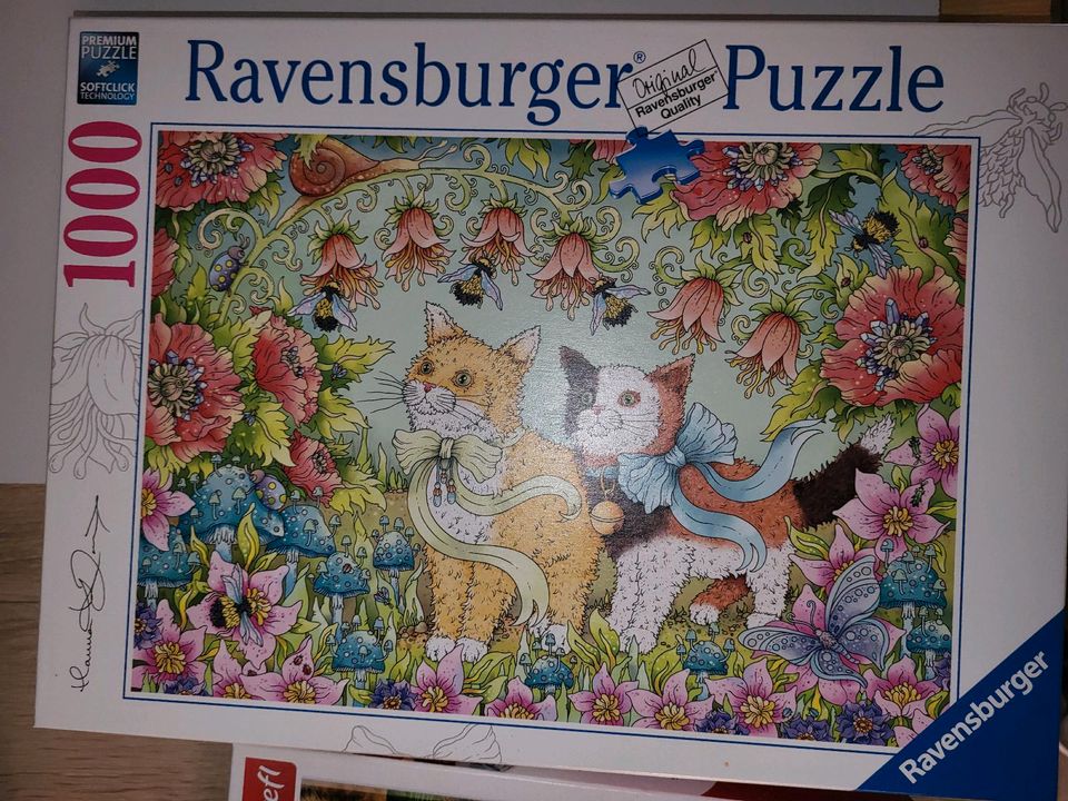 15 x Puzzle in Radolfzell am Bodensee