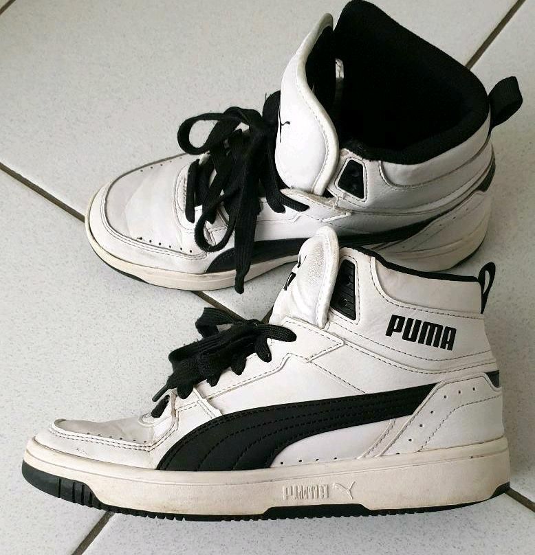 Puma rebound 37 in Hamburg