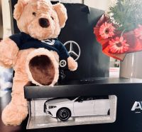 Mercedes Benz A Klasse Modell mit Teddybär Stuttgart - Zuffenhausen Vorschau