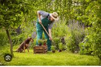 Ich biete Gartenarbeit/ Gartenpflege und Fenster putzen Nordrhein-Westfalen - Gütersloh Vorschau