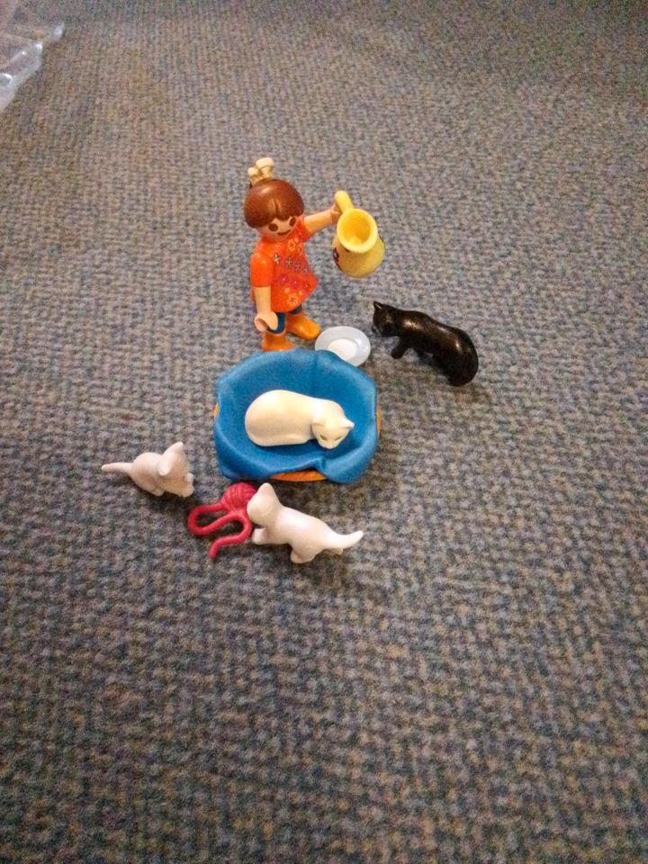 Playmobil  " Mädchen mit Katzenfamilie  " Nr. 5126 in Kempten