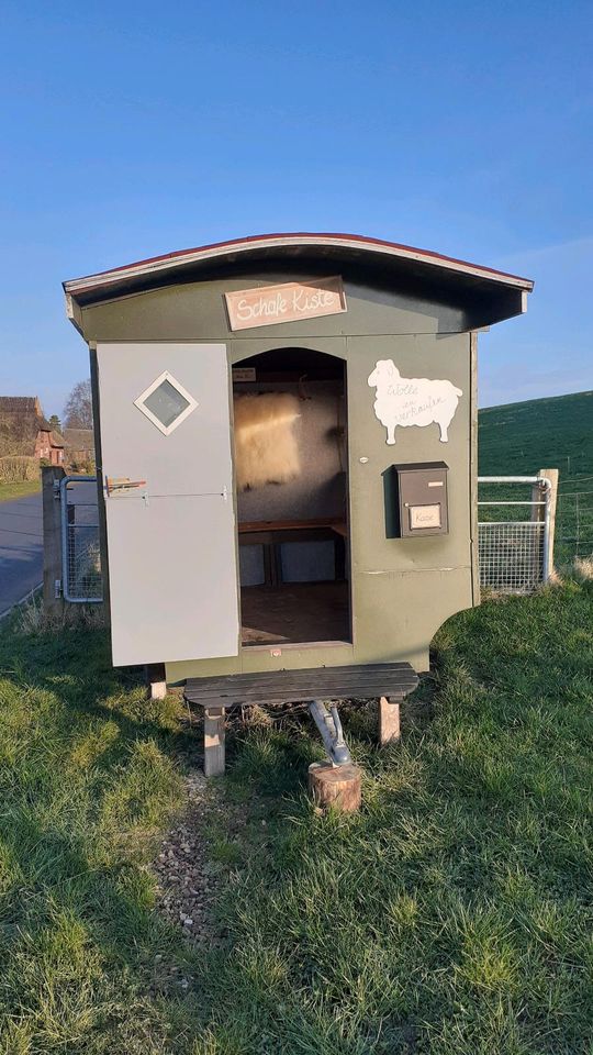 Schafwolle für den Garten, Hochbeete, Pflanzen in Berne