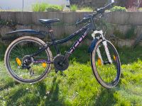 Fahrrad Focus 24 Zoll Mountainbike Sachsen - Schöpstal Vorschau