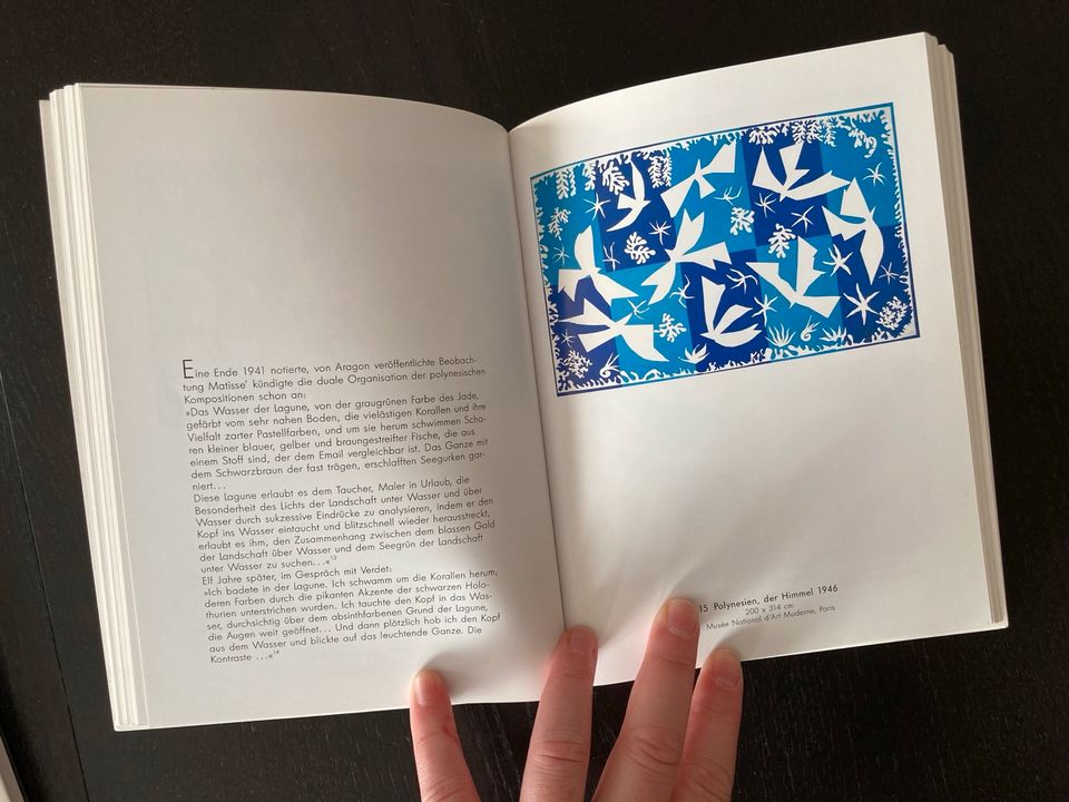 Buch über Henri Matisse in Alveslohe