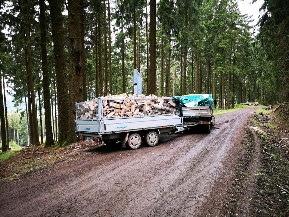 FICHTE,SOFORT LIEFERBAR,Brennholz,Buche,Eiche,Scheitholz in Kreuztal