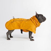 Breatheshield™️ Hunderegenmantel  XL,  Hund, Mantel, Coat Kr. Dachau - Markt Indersdorf Vorschau