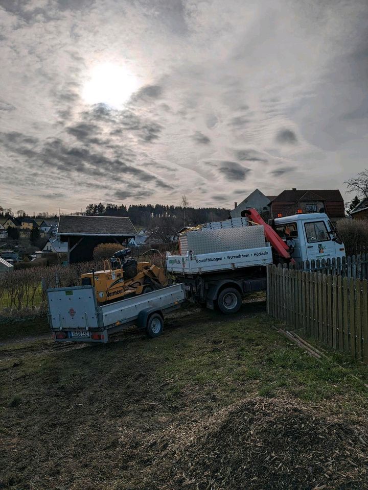 Baumstumpf- und Wurzel entfernen, Stubbenfräsen in Auerbach (Vogtland)