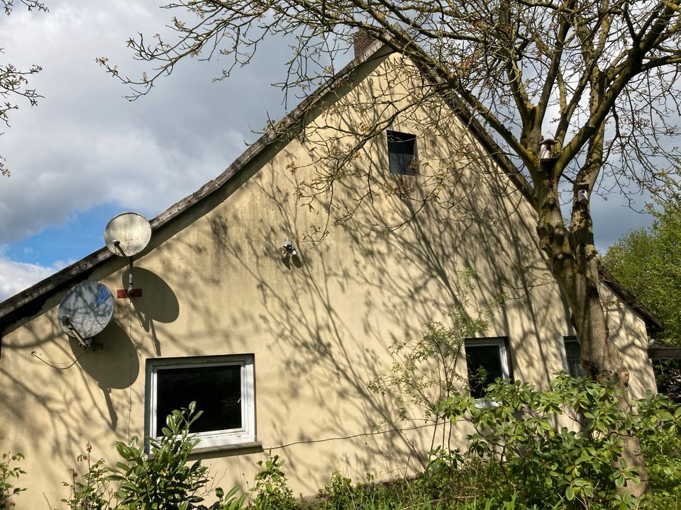 Immobilie Ortsrandlage mit freier Sicht ins Grüne in Borgholzhausen