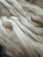 Kammzug aus Deichschafwolle Wolle zum Spinnen kadierte Wolle reine Schurwolle aus Schleswig-Holstein Schleswig-Holstein - Meggerdorf Vorschau