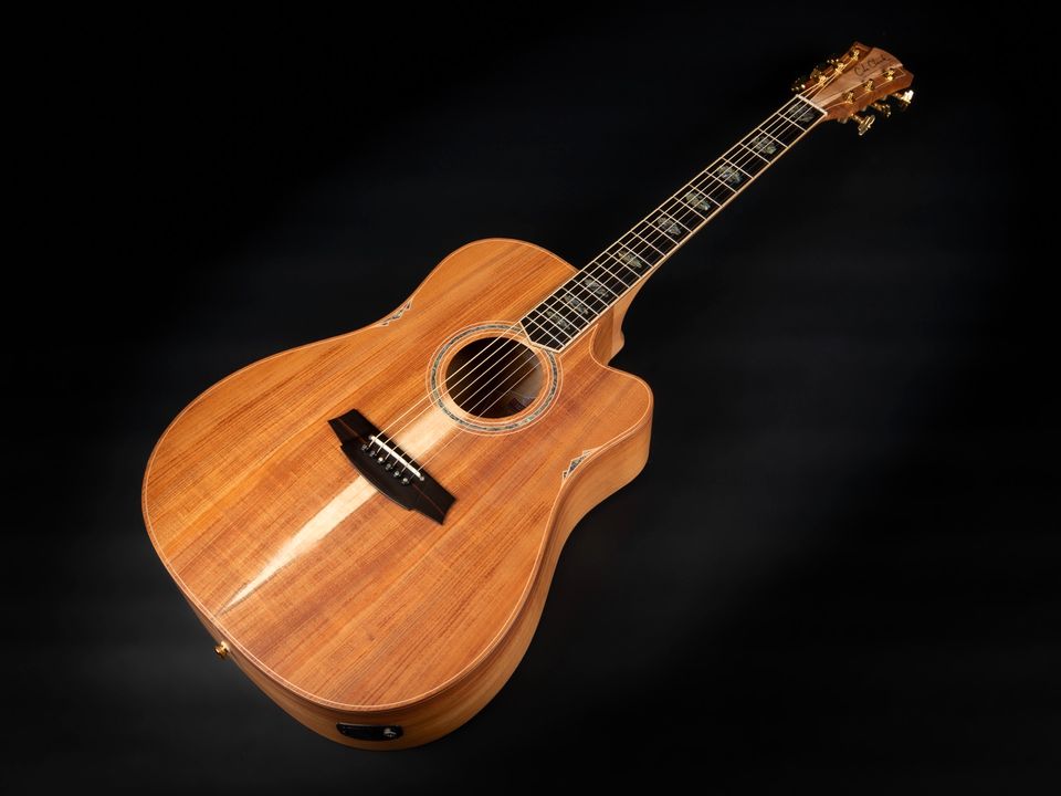 2022 Cole Clark FL3EC-BLBL Tasmanian Blackwood Abalone Pickup in Niebüll