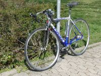 Fahrrad Rennrad FOCUS Discover Freedom Alu Carbon Niedersachsen - Goslar Vorschau