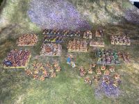 Warhammer Skaven Armee - liebevoll bemalt Old World, Fantasy Hamburg-Nord - Hamburg Winterhude Vorschau