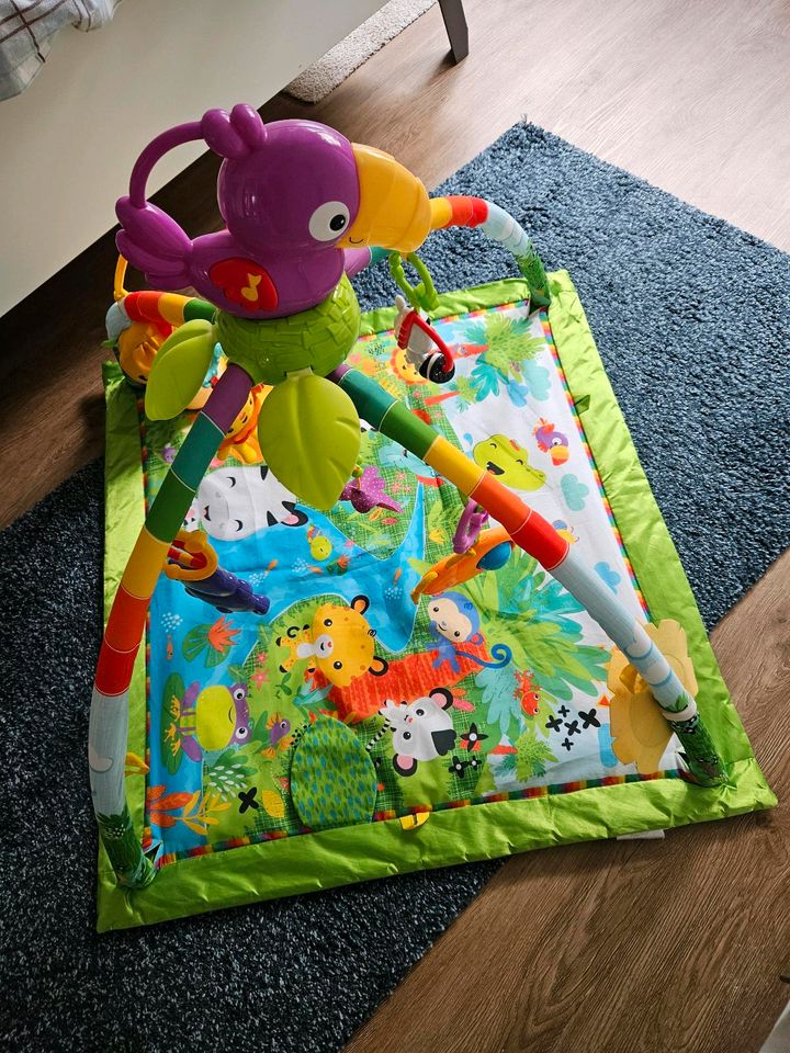 Spielbogen von Fisher-Price in Lüdenscheid