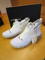 Orig. NIKE Jordan Proto - Max 720 Pure Platinum Gr. 48,5 cm NEU Sachsen - Plauen Vorschau