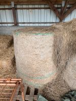 3 große Rundballen Heu, Luzerne/Gras Brandenburg - Seelow Vorschau