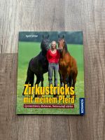 Zirkustricks mit meinem Pferd Bayern - Treuchtlingen Vorschau