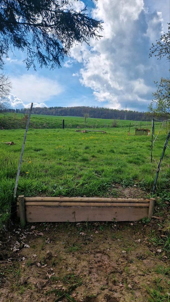 Pferdehof in Ortsrandlage/ Sanierungsobjekt in Bebra